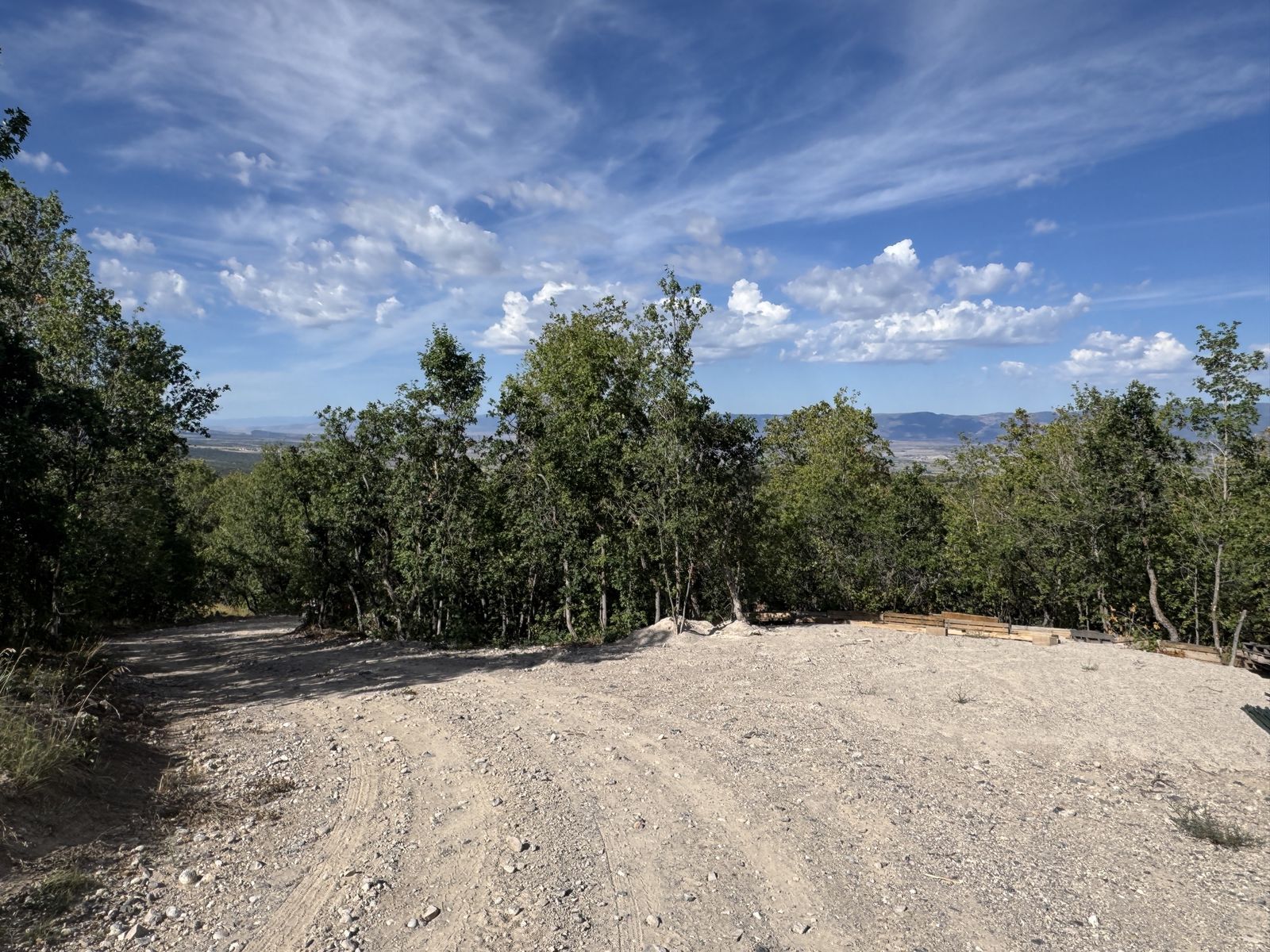 Main image 4