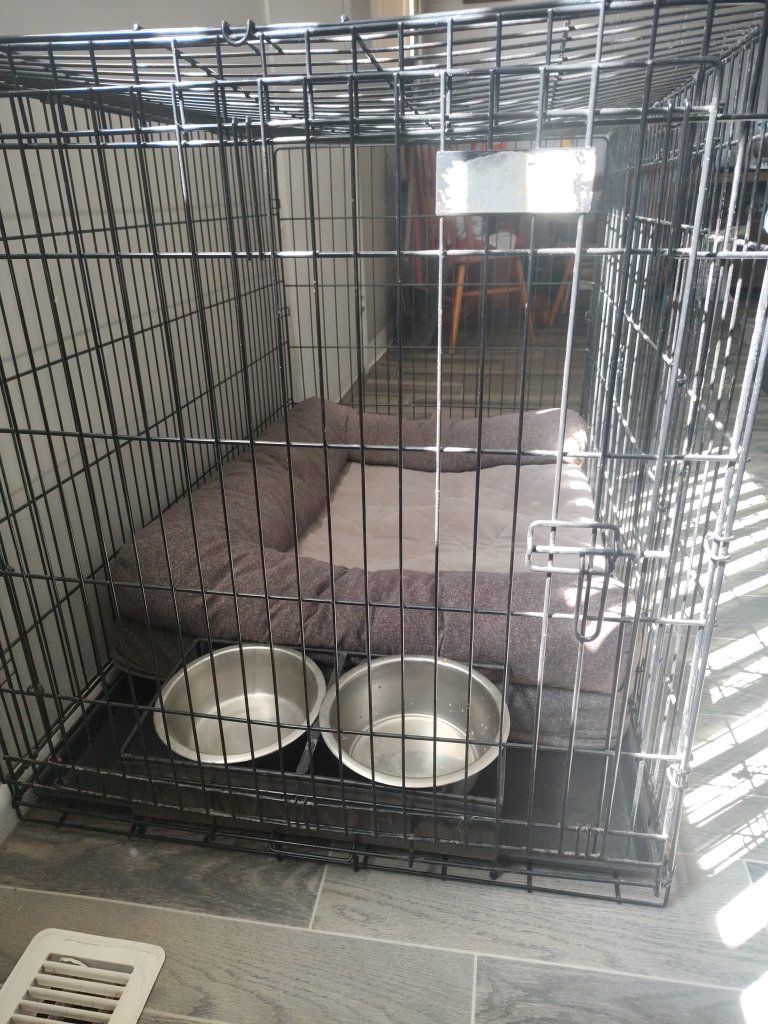 Large Black Wire Dog Crate with Pet Bed and Bowls - Excellent Condition