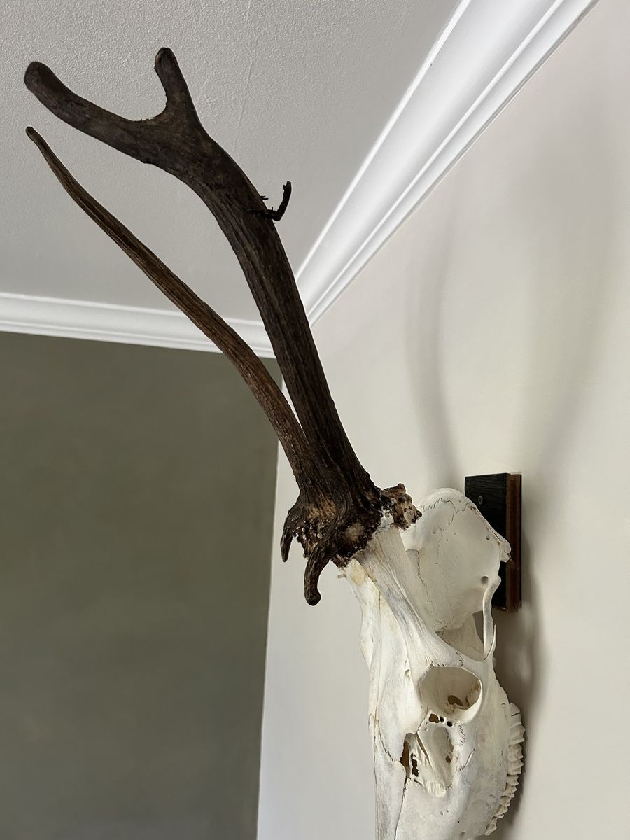 Main image 4
