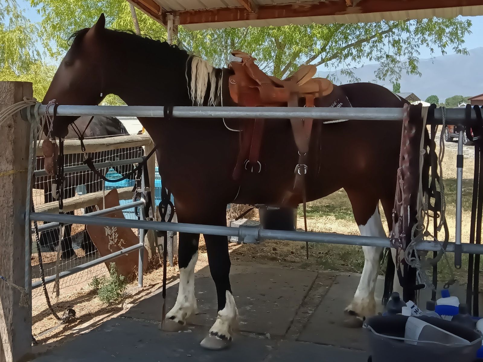 Half Draft / Half Paint