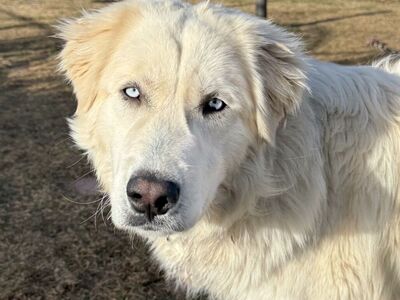 Hello my name is Hartford