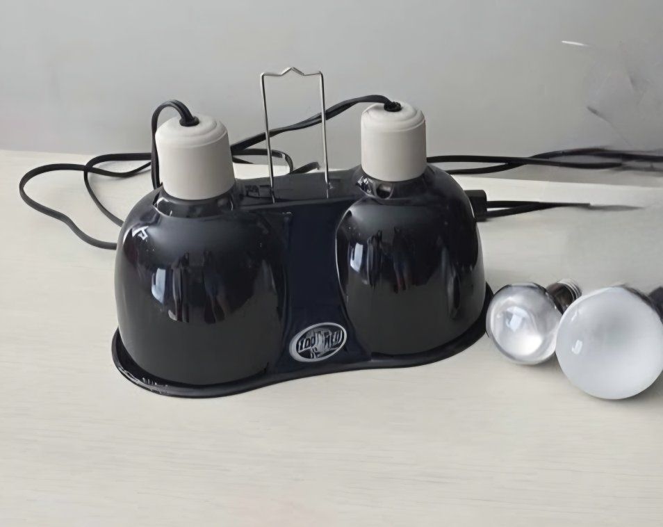 Reptile lamp with extra bulbs