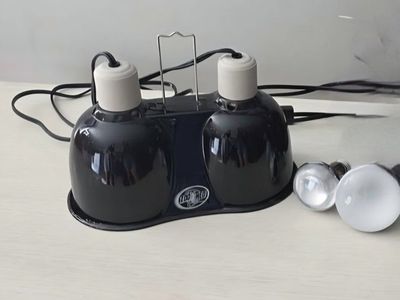 Reptile lamp with extra bulbs