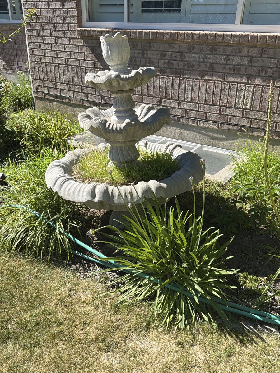 Main image 2