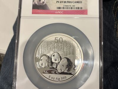 2013 Panda 5oz .999 Fine Silver Coin PF69