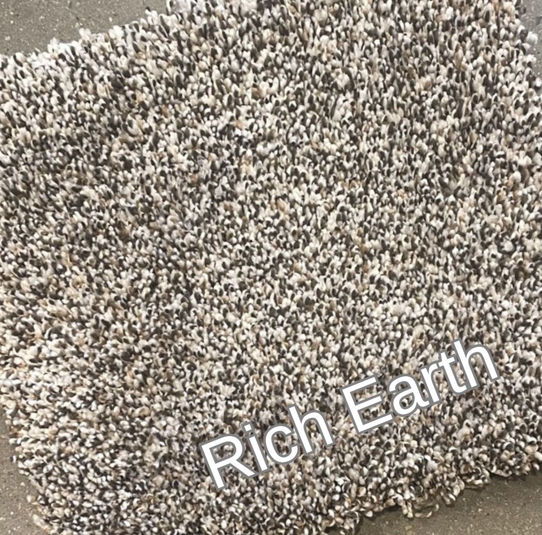 Plush 80ounce Carpet- $2.77/sq ft