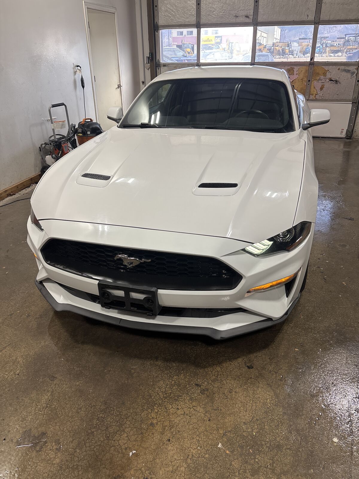 2019 Ford Mustang 