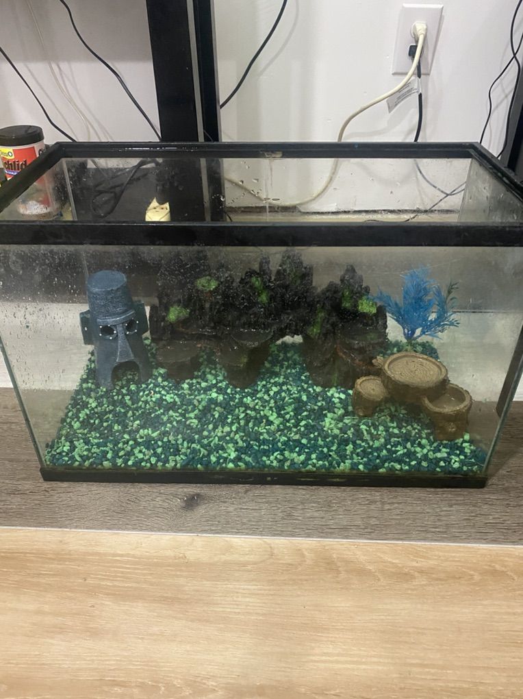 fish Tank