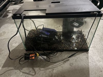 Fish tank, heater, light, filter
