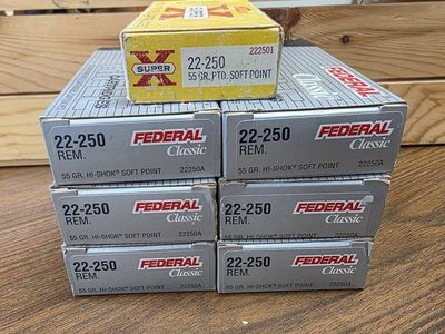 22-250 Rem Rounds