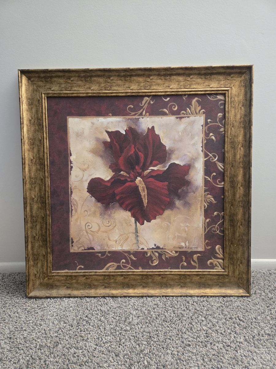 Richard Henson Framed Red Iris Flower Wall Art Print Gold Frame Home Decor