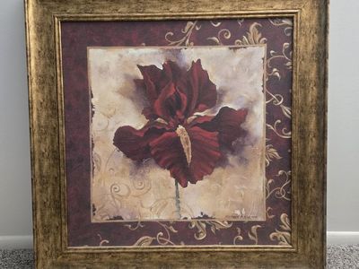 Richard Henson Framed Red Iris Flower Wall Art Print Gold Frame Home Decor