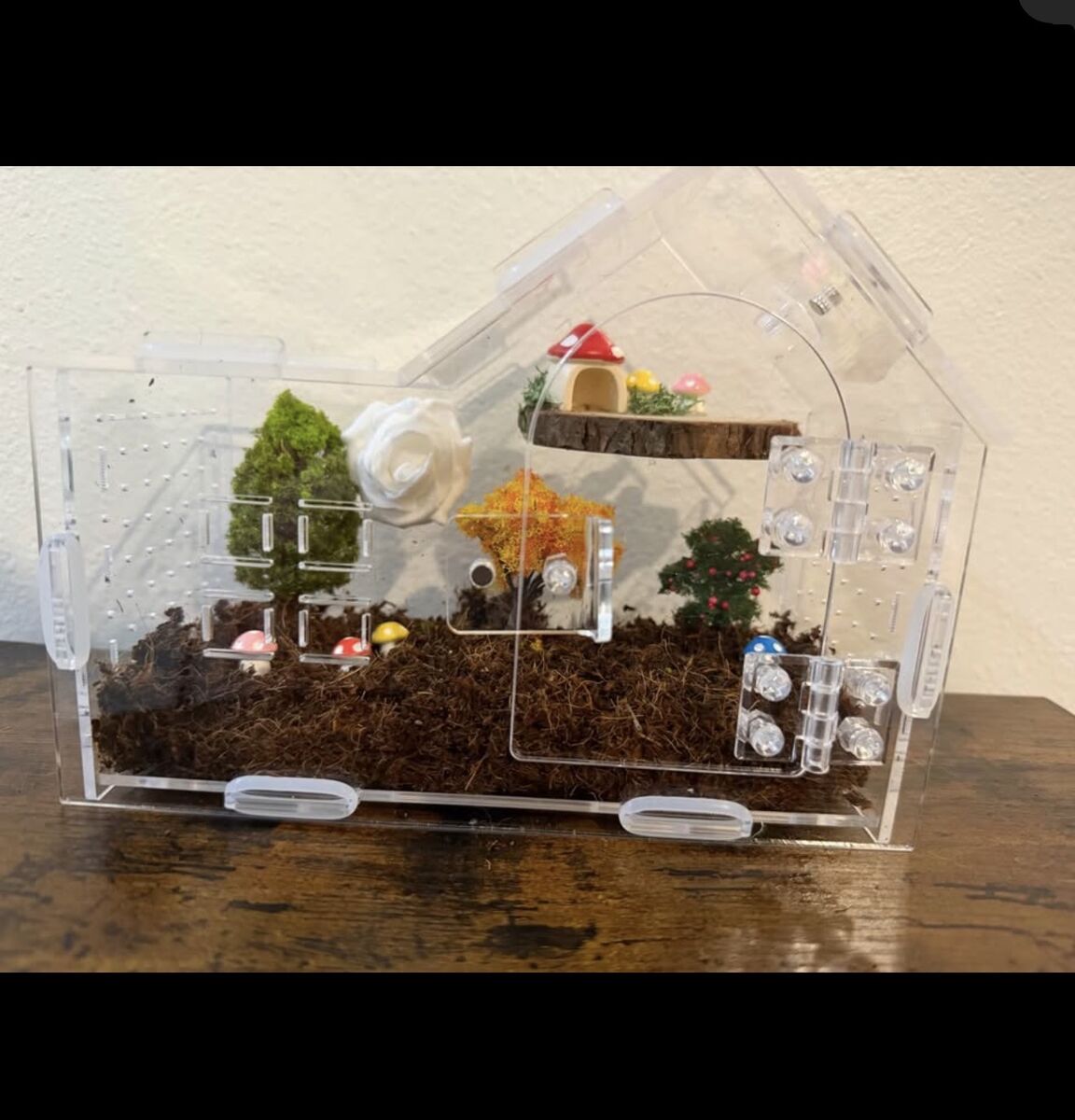 Small spider Enclosure