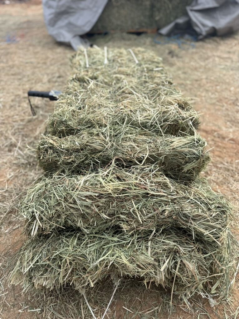 Orchard/Alfalfa Mixed 3 String Hay Bales