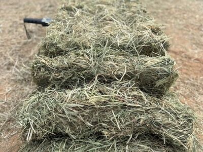 Orchard/Alfalfa Mixed 3 String Hay Bales