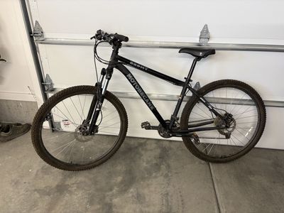 29” Mountain Bike Large
