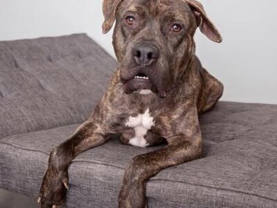 Hello my name is Buzz Lightyear