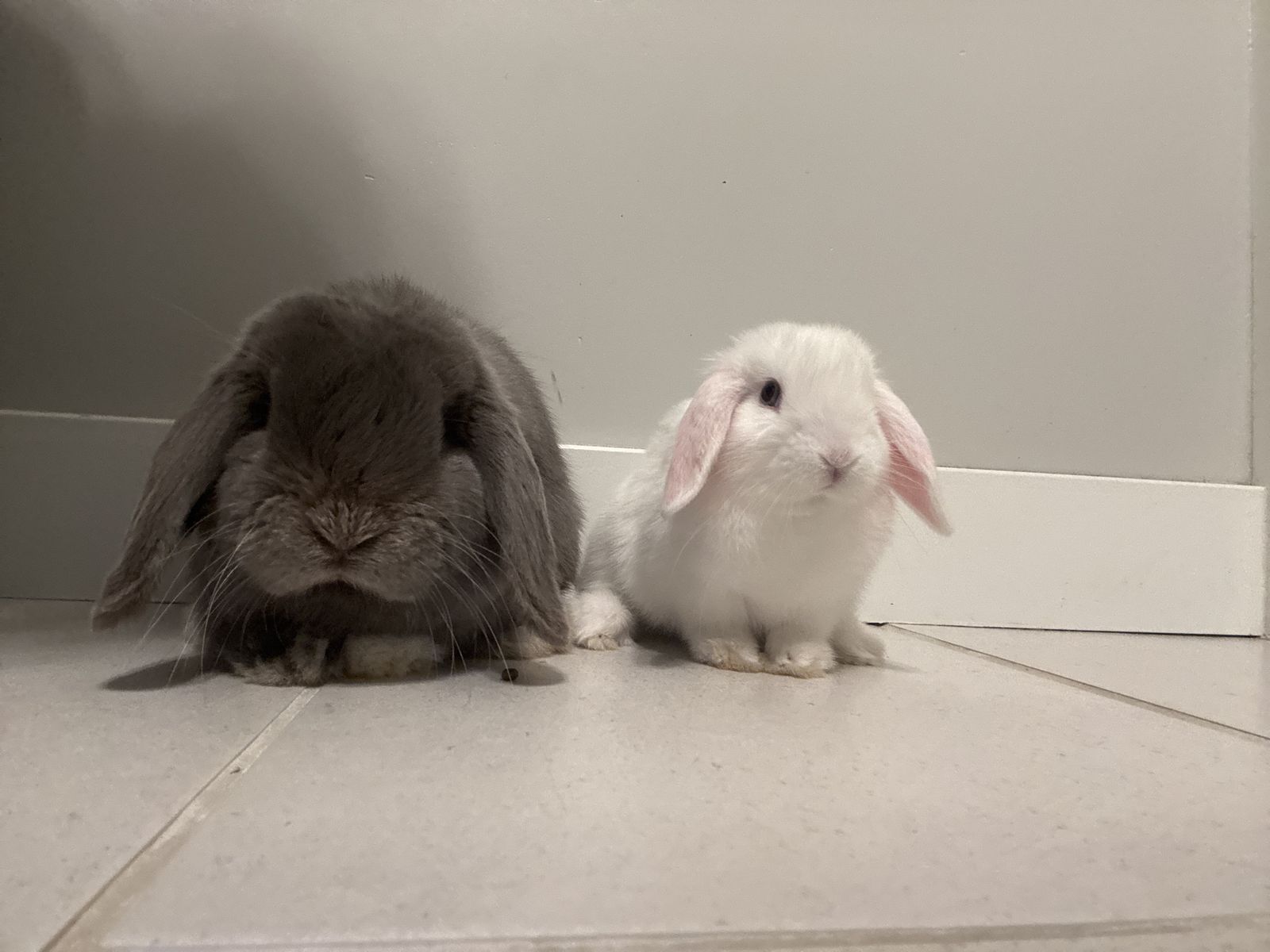 Their babies