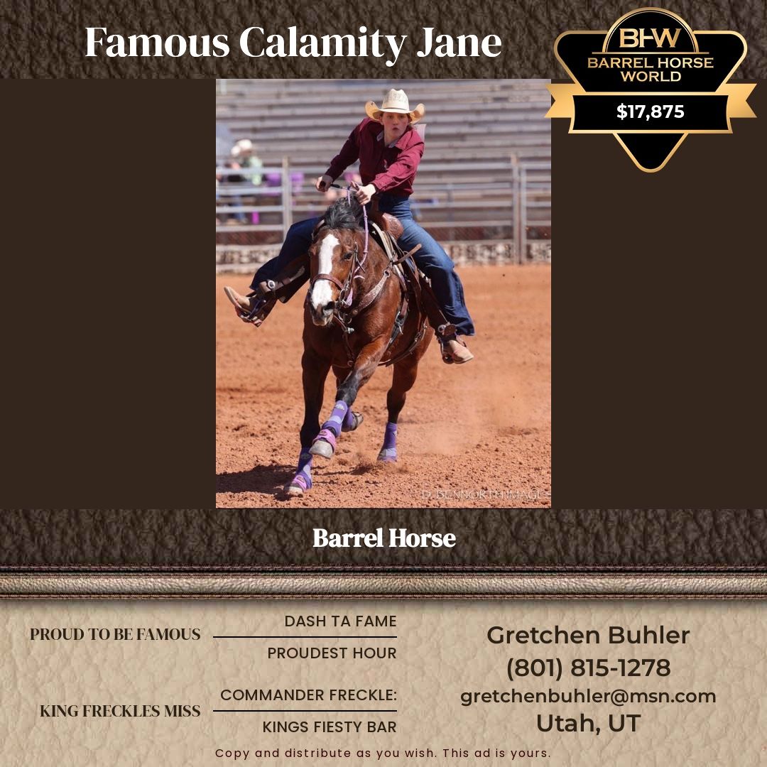 Barrel Horse