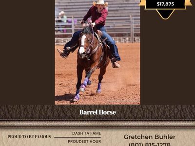 Barrel Horse