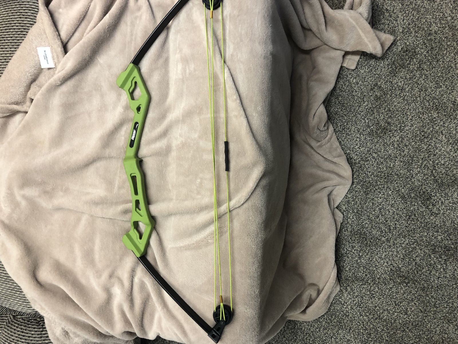 Bear Apprentice Youth Bow