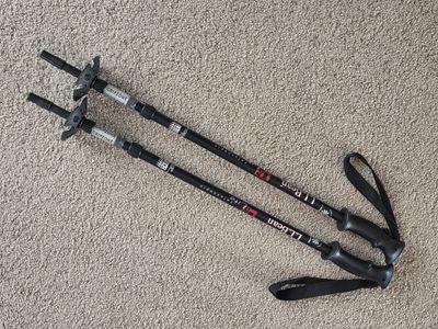TREKKING/SKI POLES