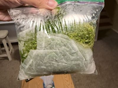 Bags of Pearlweed