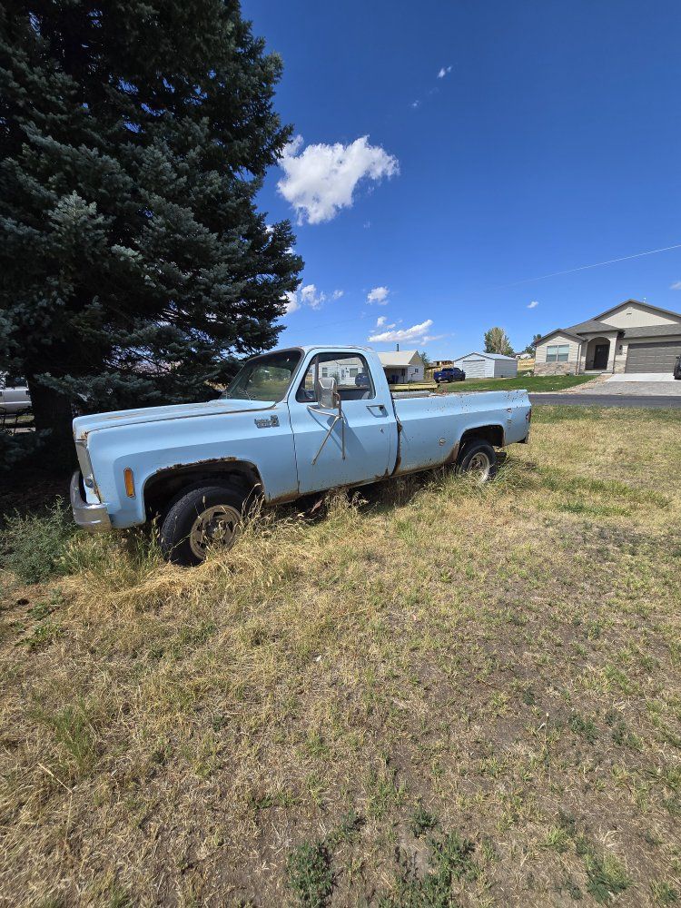 1976 Box chevy truck