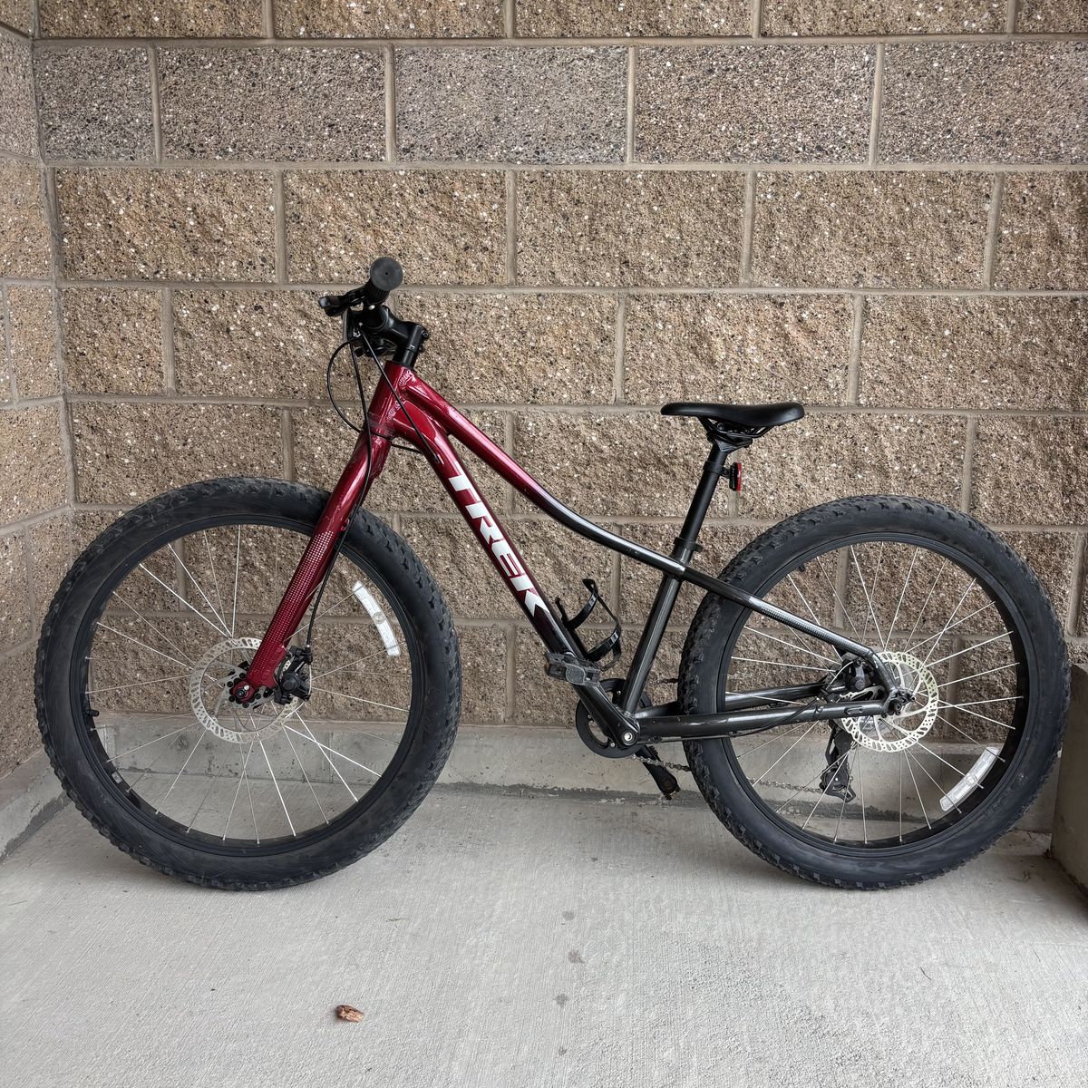 Trek Roscoe
