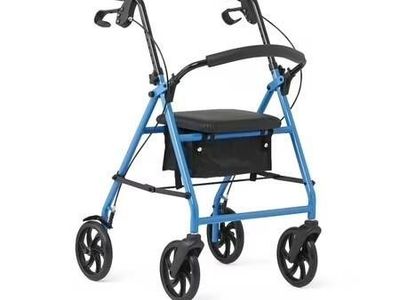 Basic Steel Rollator with Flip-Up Backrest, 8" Wheels, 300 lb. Capacity