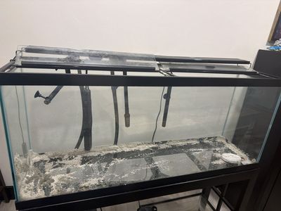 55 gallon tank and stand with filter