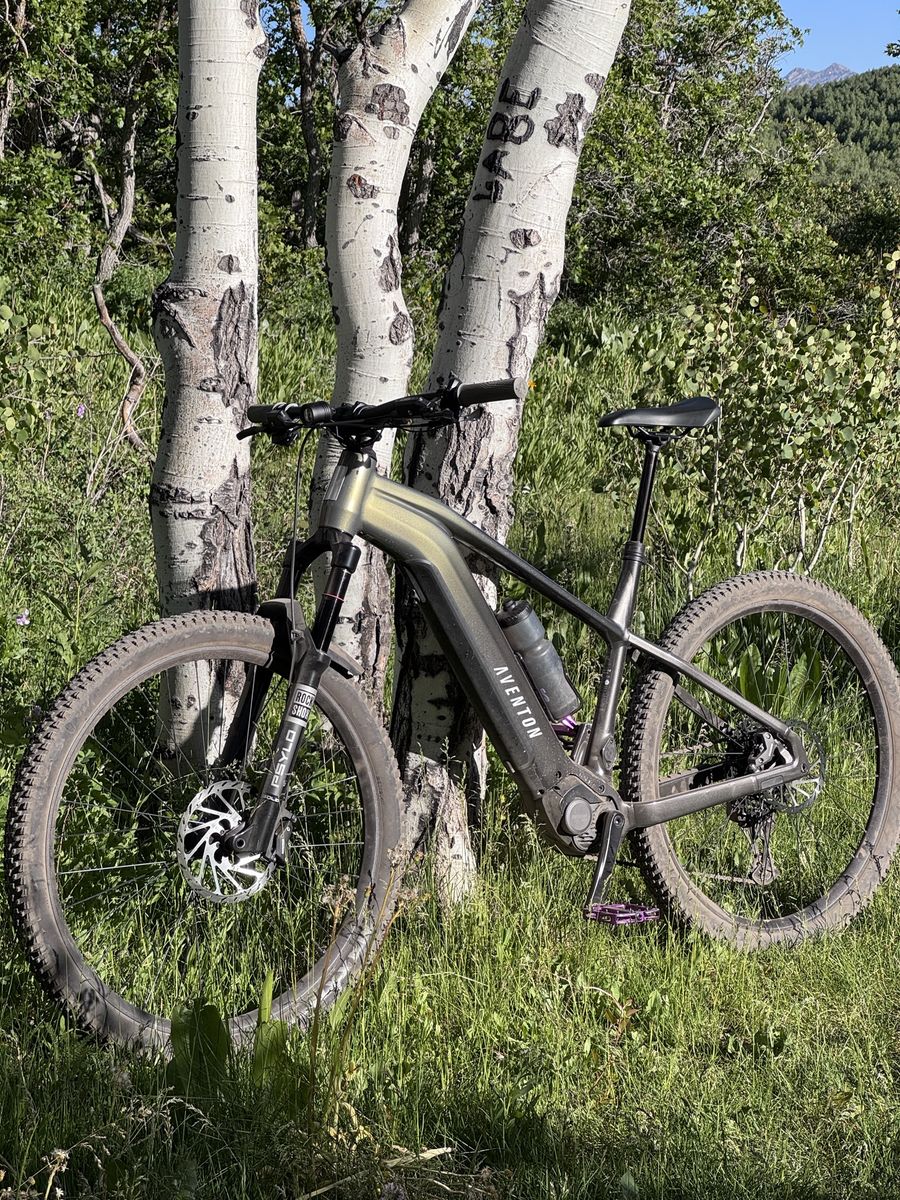 2026 Aventon Ramblas ADV Size XL