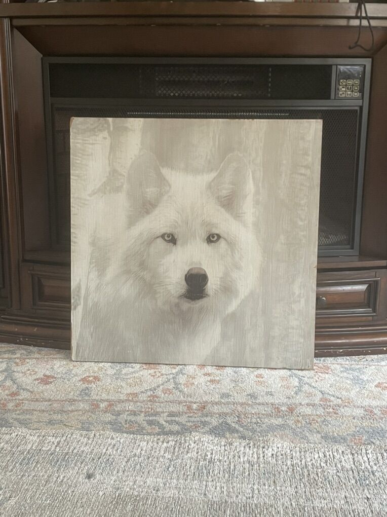 Beautiful Wolf Picture