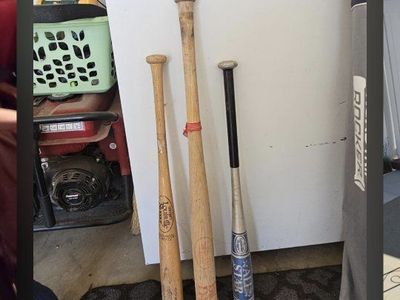 Bats