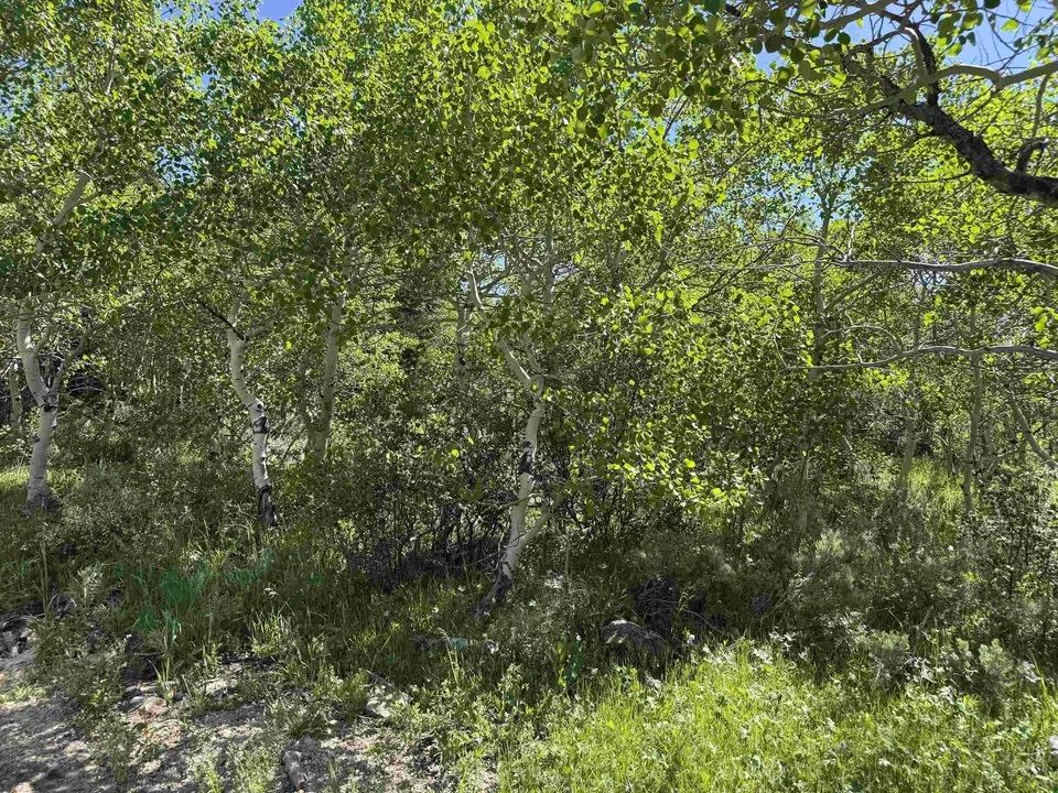 Main image 10