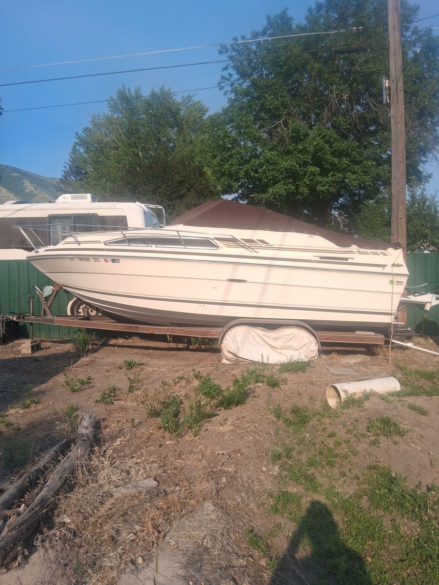 Sea ray 15 footer boat