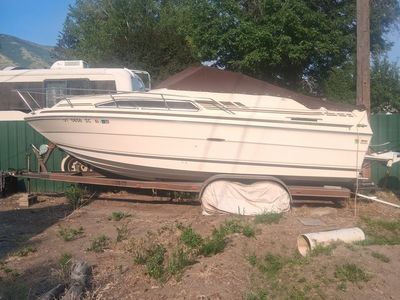 Sea ray 15 footer boat