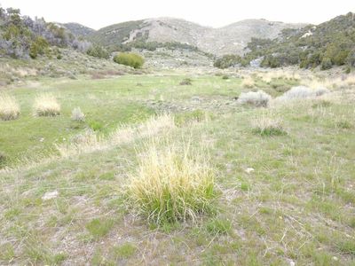 5,117 acre Cedar Creek Ranch towards Park Valley