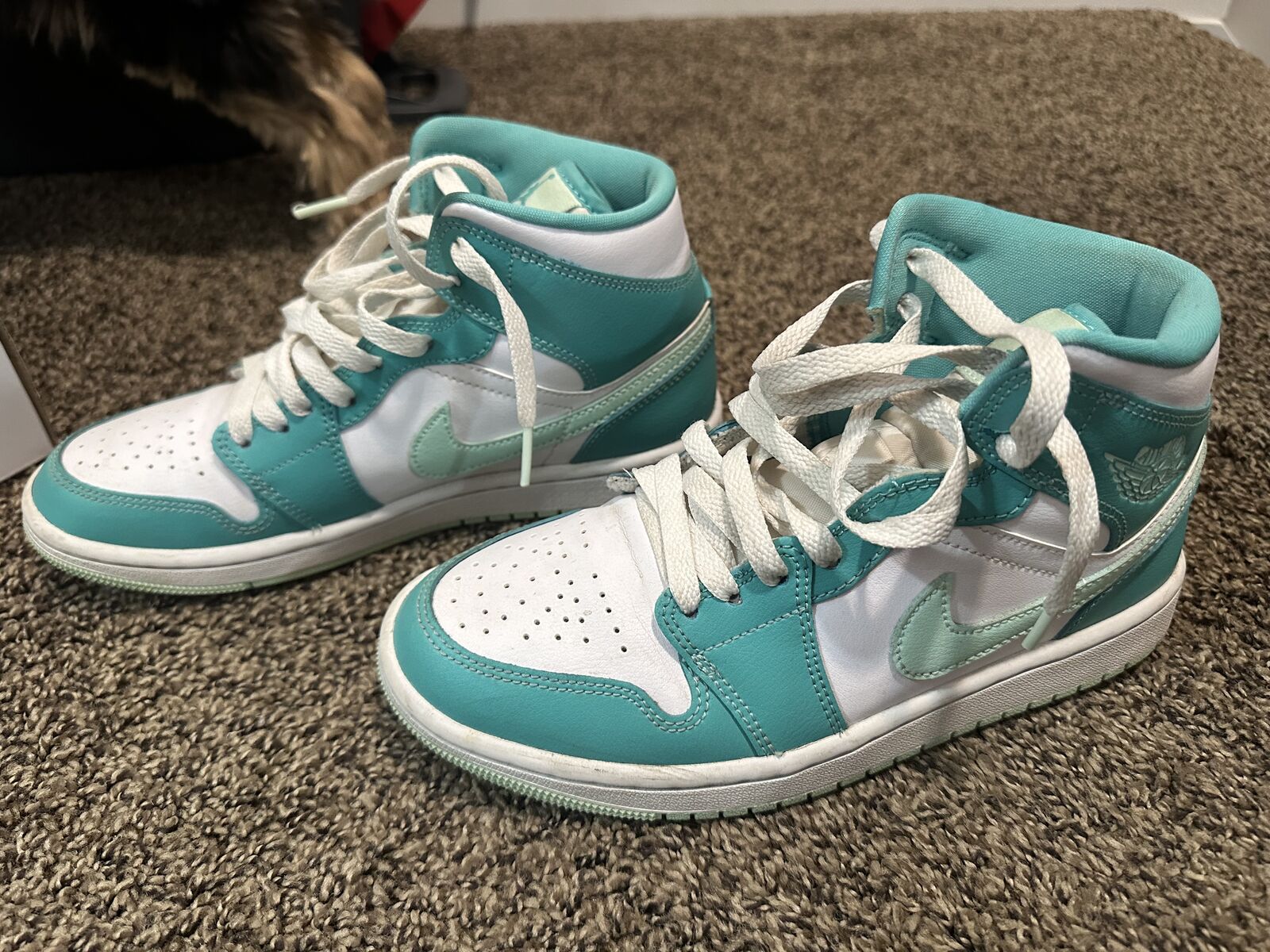 Women’s Nike Air Jordan’s Size 7