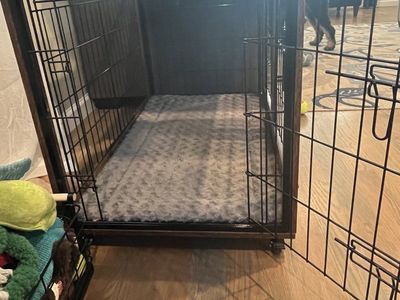 Dog Kennel
