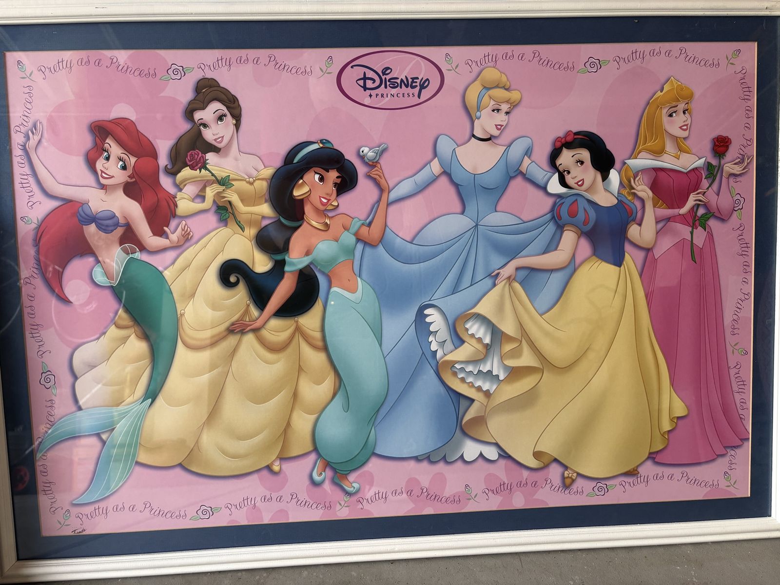 Framed Disney Princess Posters