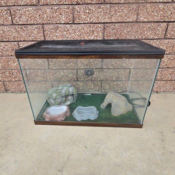 Reptile/Amphibian Habitat Starter Kit - Terrarium, Lamp, Decor & Carriers