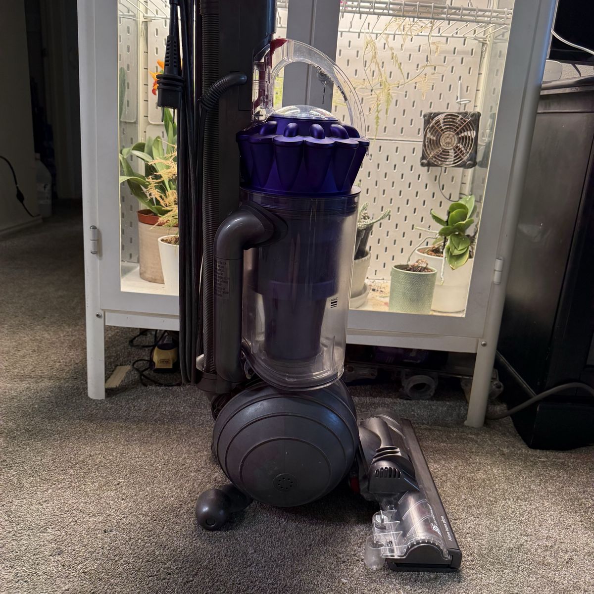 Main image 6