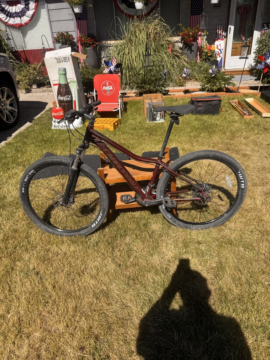Mountain bike
