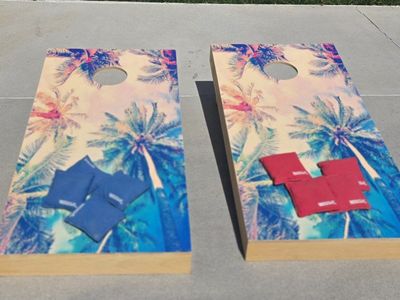 Cornhole Boards w/ Bags & Carrying Bag