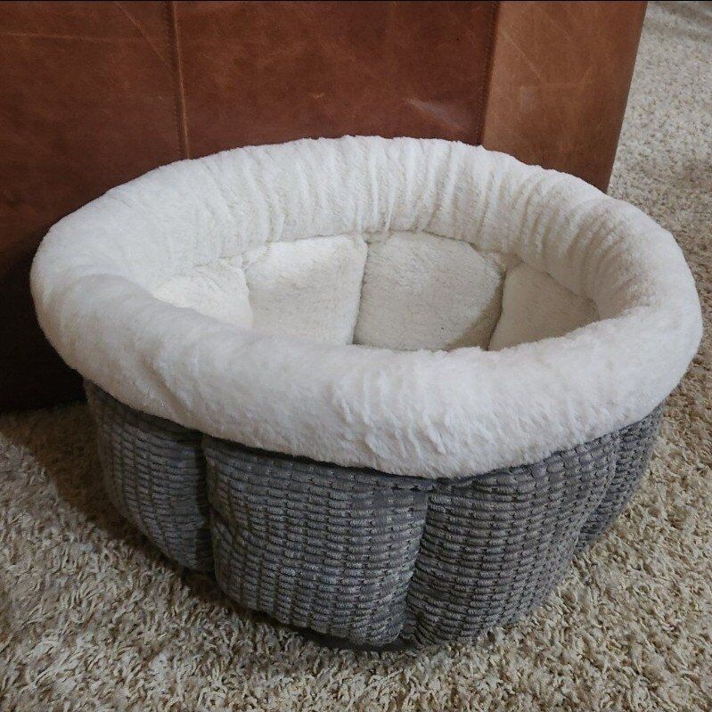 Nearly New Cat Bed w FREE Litter Mat