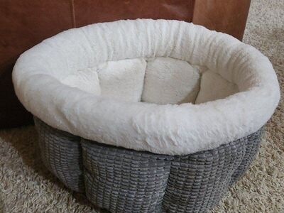 Nearly New Cat Bed w FREE Litter Mat