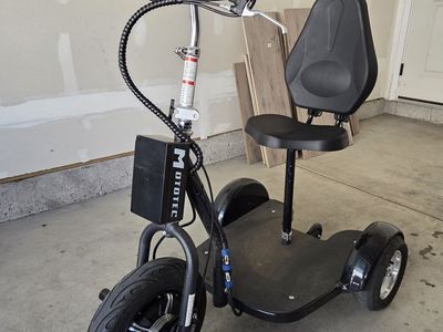 Mototec Electric Trike