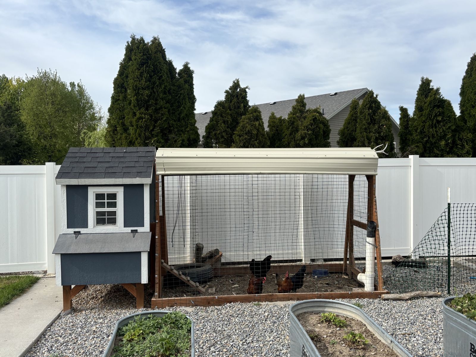 Chicken coop and run