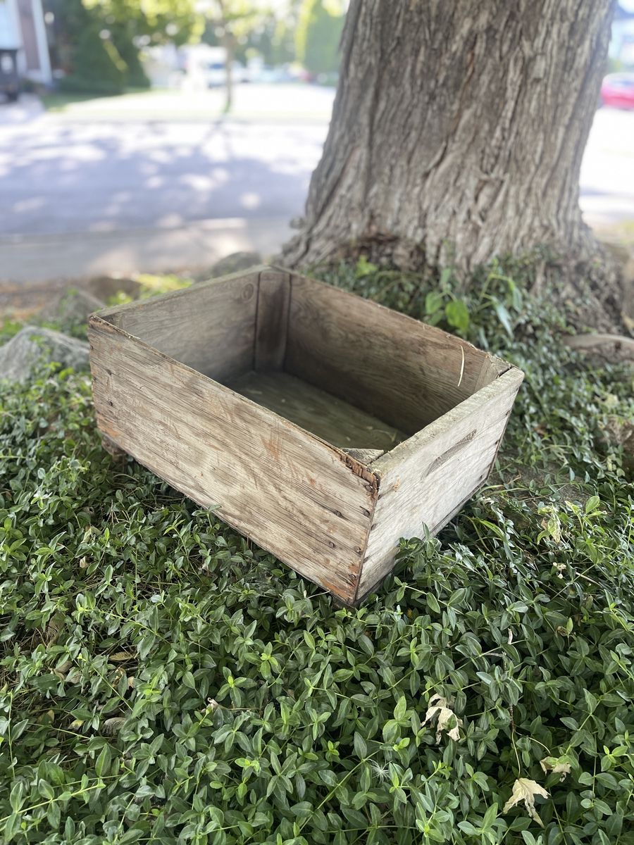 Vintage Cherry Picking Wooden Crates -$10 Each